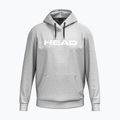 Мъжки суитшърт HEAD Club Original Hoodie grey/melange