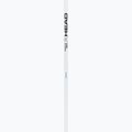 Скиорски щеки HEAD Worldcup Rebels Carbon white 2