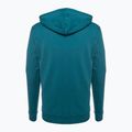 Мъжки суитшърт за трекинг Fjällräven Logo Hoodie deep sea 2
