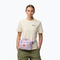 Чантичка за кръста Fjällräven Kanken 4 l pastel lavender 4