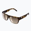 Слънчеви очила POC Want tortoise brown/larity trail/partyly sunny silver 