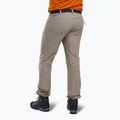 Мъжки панталони за трекинг Pinewood Finnveden Sports Light moth brown 2