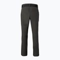 Мъжки панталони за трекинг Pinewood Finnveden Sports Light ash grey 7