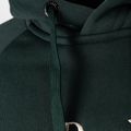 Мъжки суитшърт за трекинг Peak Performance Original Hood Green G77756250 3