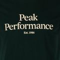 Мъжка риза за трекинг Peak Performance Original Tee green G77692260 3