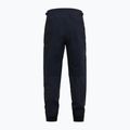 Мъжки панталони Peak Performance Trail black 2