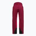 Дамски ски панталони Peak Performance Vislight GTX C-Knit 3L vertical zenith/tech burgundy 7