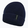 Детска зимна шапка Didriksons Buz Beanie navy