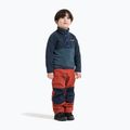 Детски поларен суитшърт Didriksons Monte 6 Half Button mountain blue 4