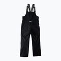 Мъжки панталони за сноуборд Colourwear Slash Bib black 11