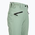 Дамски панталони за сноуборд Colourwear Cork lt sage 4