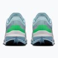 Мъжки обувки за бягане  On Cloudflow 5 flurry/wash 4