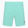 Мъжки шорти за бягане SCOTT Endurance LT miami green