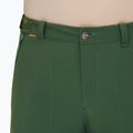 Мъжки панталони за трекинг Mammut Runbold woods 5