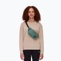 Mammut Xeron Classic калъф за бъбреци зелен 2810-00471-40236-120 7