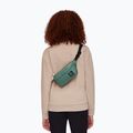 Mammut Xeron Classic калъф за бъбреци зелен 2810-00471-40236-120 8