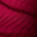 Mammut дамско яке за трекинг Taiss Light ML blood red/marine 10