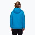 Мъжки суитшърт Mammut ML Hoody Logo glacier blue 2