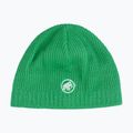Зимна шапка Mammut Sublime pine
