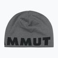 Зимна шапка Mammut Logo steel/black 2