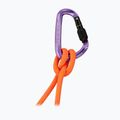 Карабинка Mammut Classic HMS Screwgate screw gate/alpine calamint 2