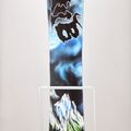 Сноуборд Lib Tech Skunk Ape black-blue 21SN036 9
