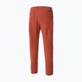 Мъжки панталони за катерене The North Face Project red NF0A5J7ZUBR1 9