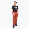 Мъжки панталони за катерене The North Face Project red NF0A5J7ZUBR1 2