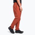 Мъжки панталони за катерене The North Face Project red NF0A5J7ZUBR1 3