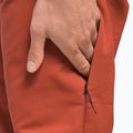 Мъжки панталони за катерене The North Face Project red NF0A5J7ZUBR1 6