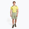 Мъжки къси панталони за катерене The North Face Project beige NF0A5J8M3X31 2