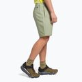 Мъжки къси панталони за катерене The North Face Project beige NF0A5J8M3X31 3