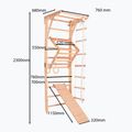 Гимнастическа стълба RINAGYM Kinder 3 10