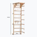 Гимнастическа стълба RINAGYM Eco-Pine 6