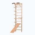 Гимнастическа стълба RINAGYM SPR A+SLIDE 2