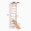 Гимнастическа стълба RINAGYM SPR A+SLIDE 3