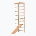 Гимнастическа стълба RINAGYM SPR B+SLIDE 3