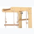 Гимнастическа стълба RINAGYM SPR B+SLIDE 6
