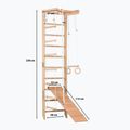 Гимнастическа стълба RINAGYM SPR B+SLIDE 10