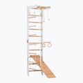 Гимнастическа стълба RINAGYM SPR B+SLIDE