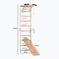 Гимнастическа стълба RINAGYM SPR A+SLIDE 2