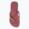 Джапанки Havaianas Brasil Logo pau brasil 5