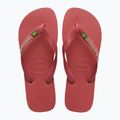 Джапанки Havaianas Brasil Logo pau brasil 10