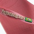 Джапанки Havaianas Brasil Logo pau brasil 12