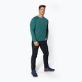 Мъжка риза за трекинг Black Diamond Alpenglow Crew green AP7520923028SML1 2
