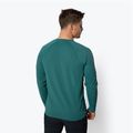 Мъжка риза за трекинг Black Diamond Alpenglow Crew green AP7520923028SML1 3