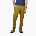 Мъжки панталони за катерене Black Diamond Notion light green AP7500603039SML1