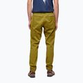 Мъжки панталони за катерене Black Diamond Notion light green AP7500603039SML1 2