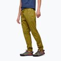 Мъжки панталони за катерене Black Diamond Notion light green AP7500603039SML1 3
