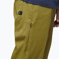 Мъжки панталони за катерене Black Diamond Notion light green AP7500603039SML1 6